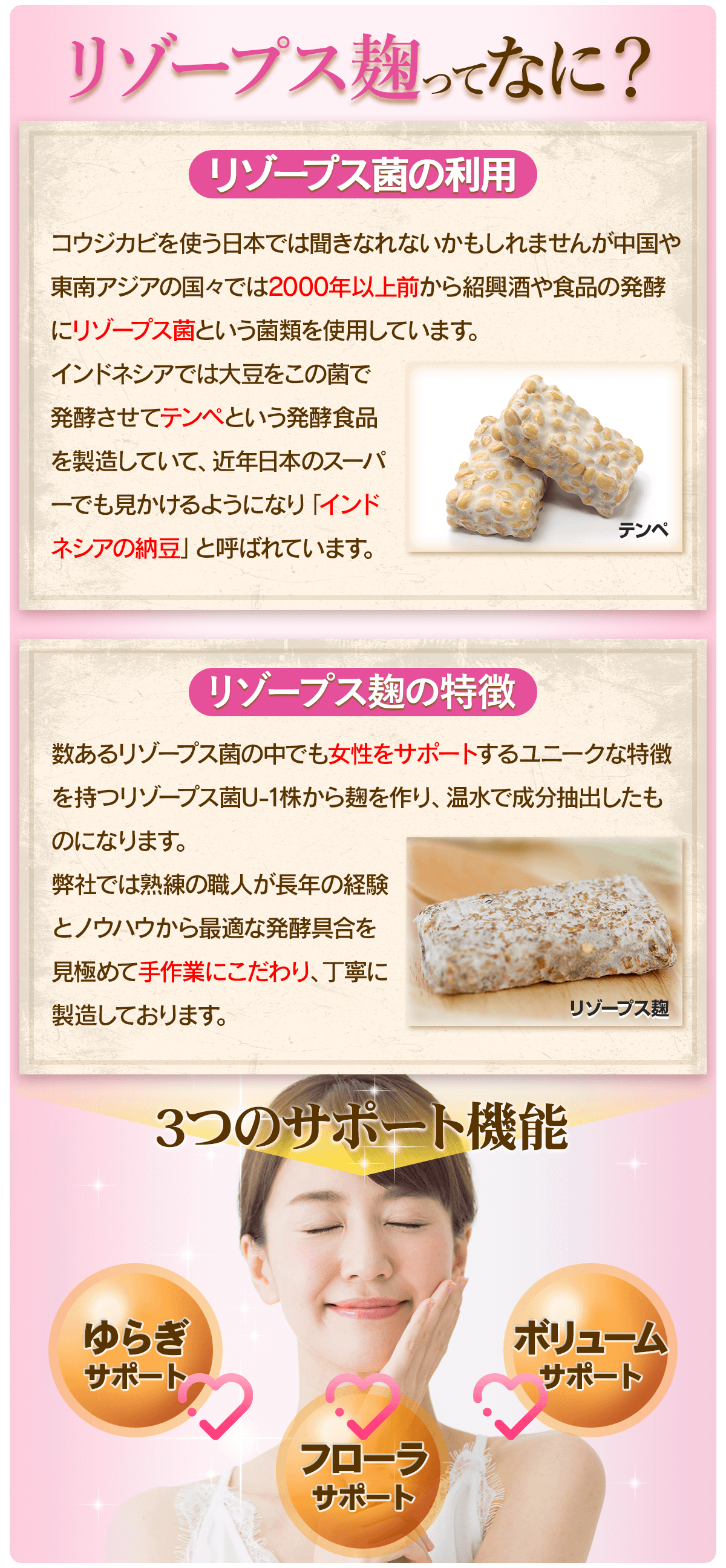 リゾープス麹菌の特徴、東南アジアでは2000年以上前から紹興酒や食品の発酵に使用され、インドネシアでは大豆をこの菌で発行させたテンペという食品がありインドネシアの納豆と呼ばれている。弊社ではリゾープス麹の中でも女性をサポートする特徴を持つU-1株から麹を製造している。