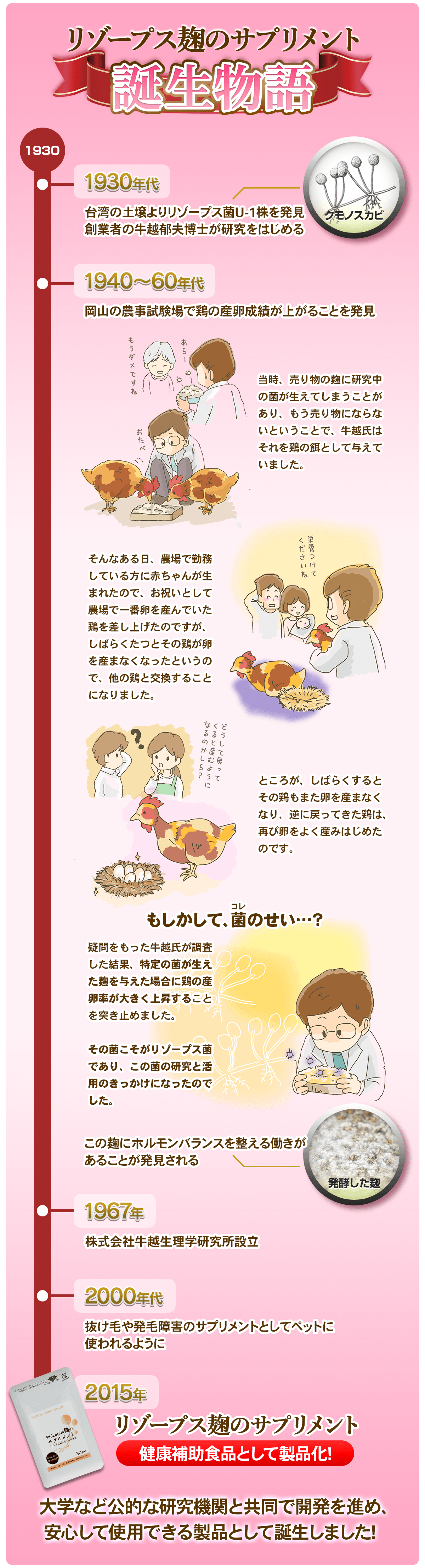 リゾープス麹のサプリメント誕生物語〜1930年代に創業者の牛越郁夫博士がリゾープス菌の研究をはじめ、1940〜60年代にこの菌を与えた鶏がよく卵を産むことから、この菌にホルモンバランスを整える働きがあることを発見し、2000年代に抜け毛や発毛障害のサプリメントとしてペットに使われるようになり、2015年健康食品として製品化されました。
