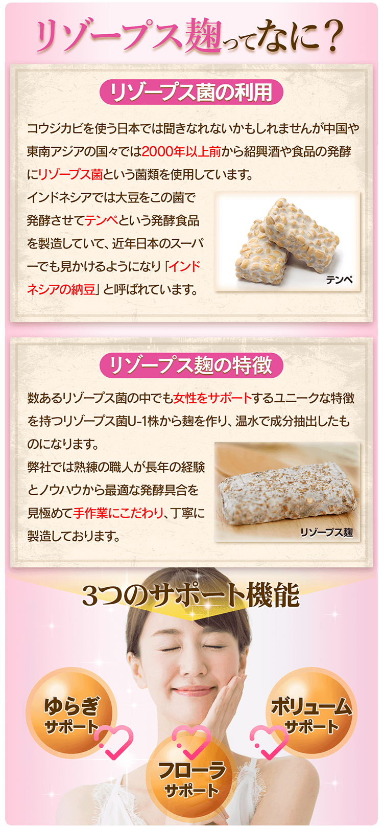 リゾープス麹菌の特徴、東南アジアでは2000年以上前から紹興酒や食品の発酵に使用され、インドネシアでは大豆をこの菌で発行させたテンペという食品がありインドネシアの納豆と呼ばれている。弊社ではリゾープス麹の中でも女性をサポートする特徴を持つU-1株から麹を製造している。