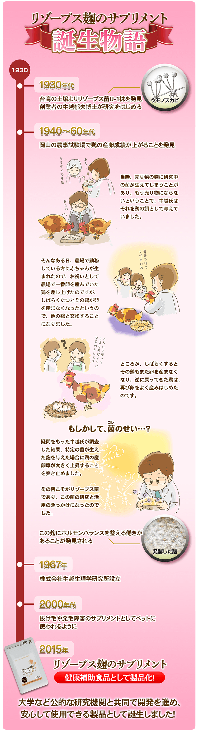 リゾープス麹のサプリメント誕生物語〜1930年代に創業者の牛越郁夫博士がリゾープス菌の研究をはじめ、1940〜60年代にこの菌を与えた鶏がよく卵を産むことから、この菌にホルモンバランスを整える働きがあることを発見し、2000年代に抜け毛や発毛障害のサプリメントとしてペットに使われるようになり、2015年健康食品として製品化されました。